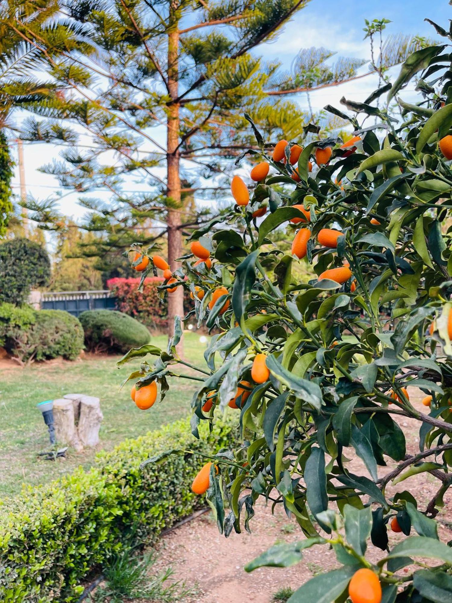 Erotospilia Porto Rafti Near The Athens Airport Apartment Екстериор снимка
